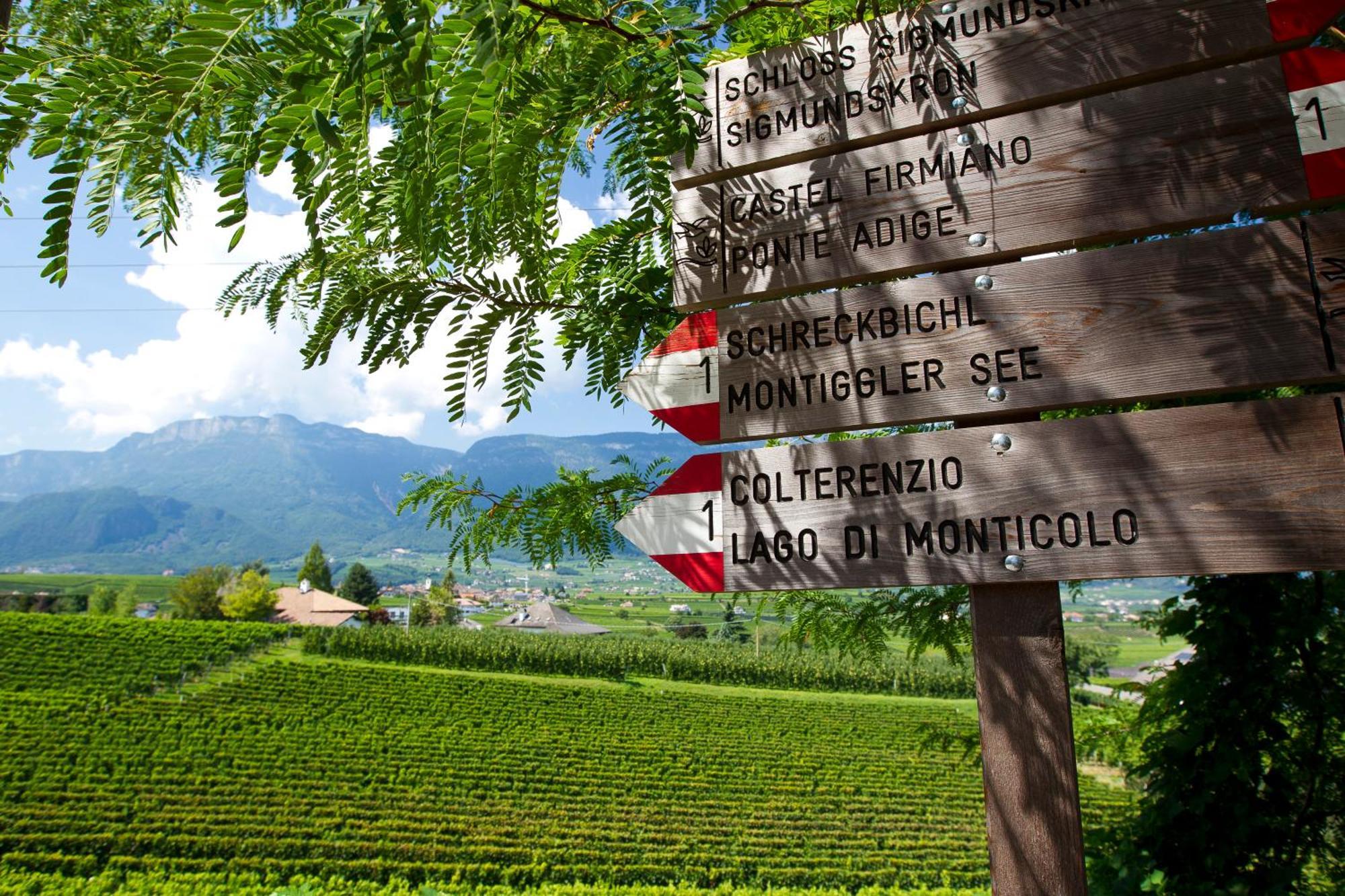 Hotel Girlanerhof Appiano Sulla Strada Del Vino Exterior foto